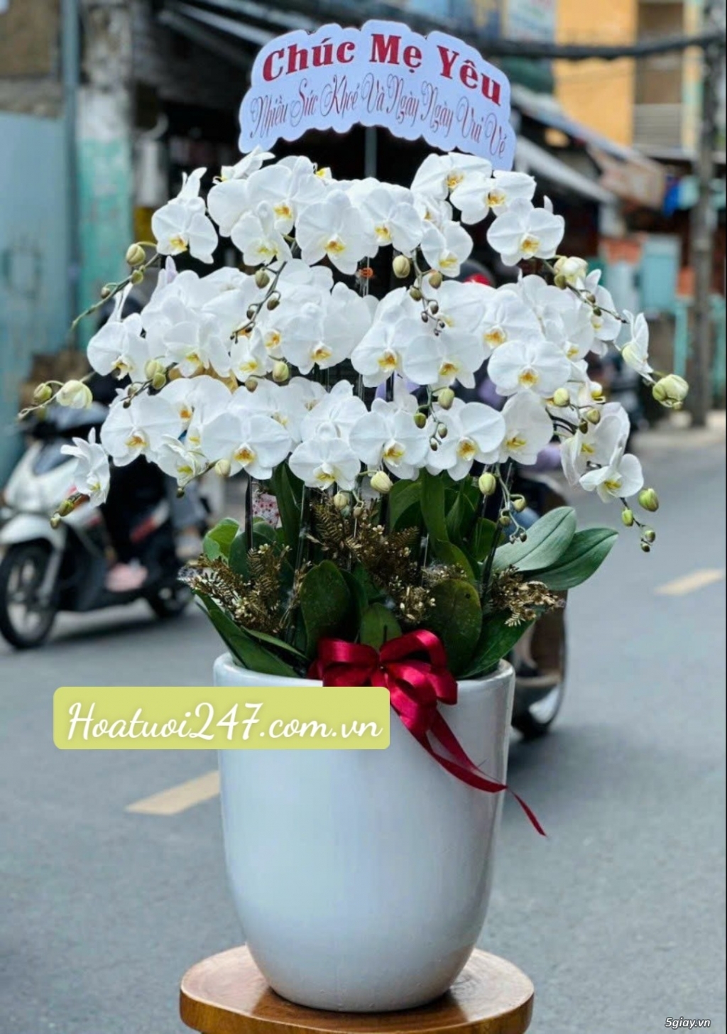 Shop hoa tươi bán Lan Hồ Điệp đẹp uy tín tại TPHCM - Hoatuoi247.com. - 13