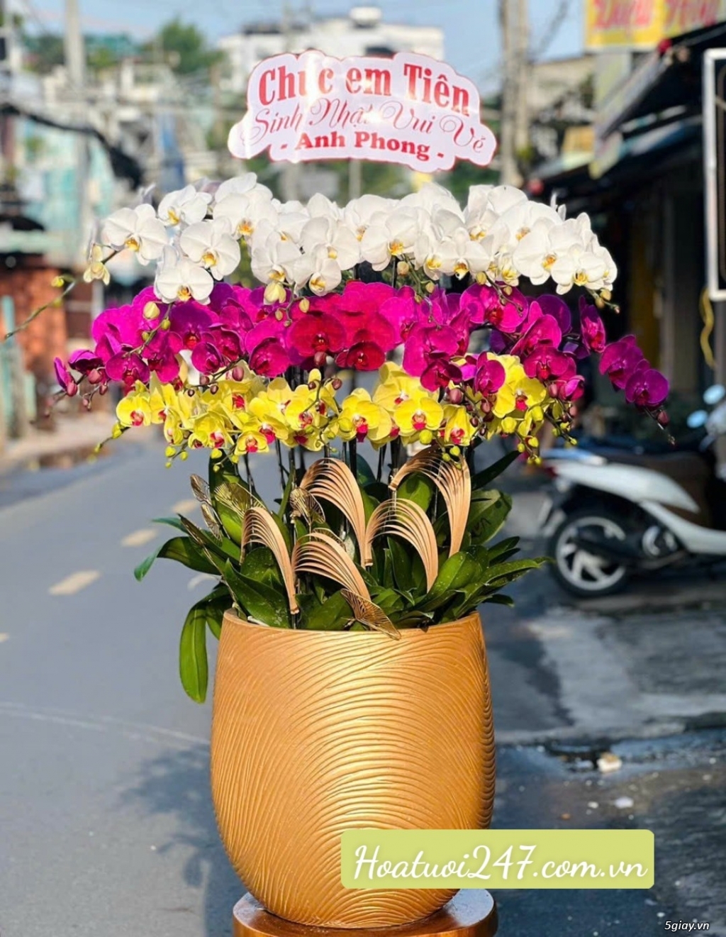 Những mẫu hoa lan hồ điệp tặng ngày nhà giáo Việt Nam đẹp nhất Sài Gòn - 12
