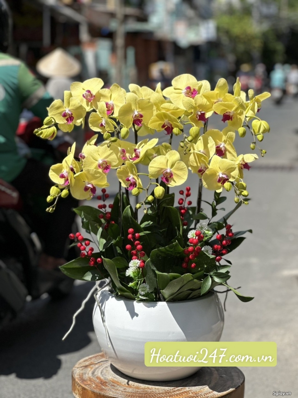 Shop hoa tươi bán Lan Hồ Điệp đẹp uy tín tại TPHCM - Hoatuoi247.com. - 1