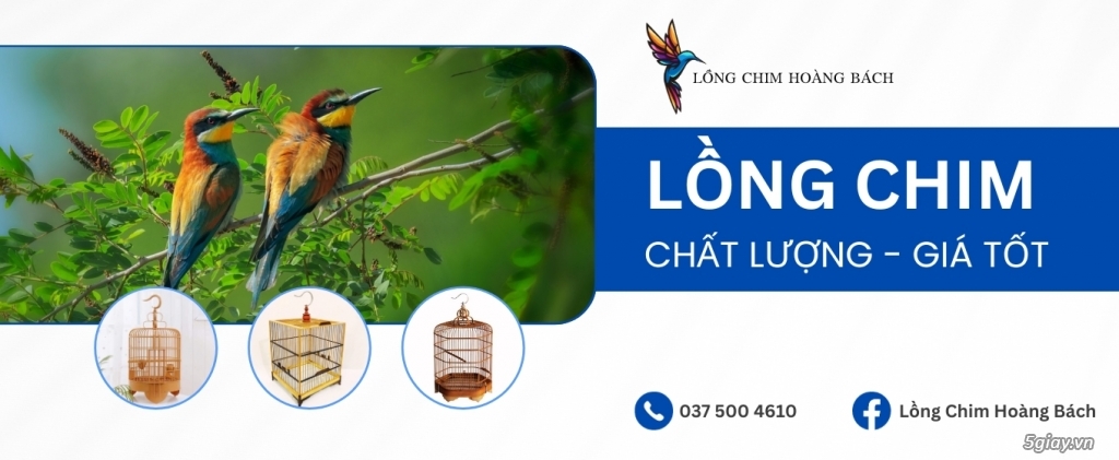 Những Cách Nuôi Chim Hút Mật Con Đúng Kỹ Thuật - 1