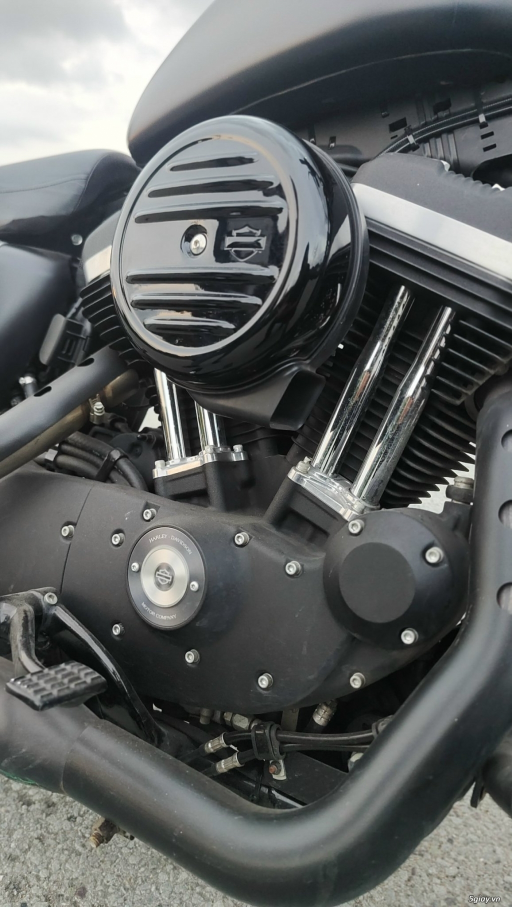 Bán Harley Davidson - Iron 883 năm 2019 Xe ngay chủ đứng tên - 3