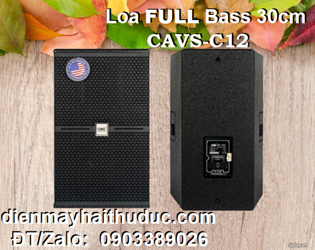 Loa Full Bass 30cm CAVS C12 chính hãng Nhật Hoàng Audio - 1