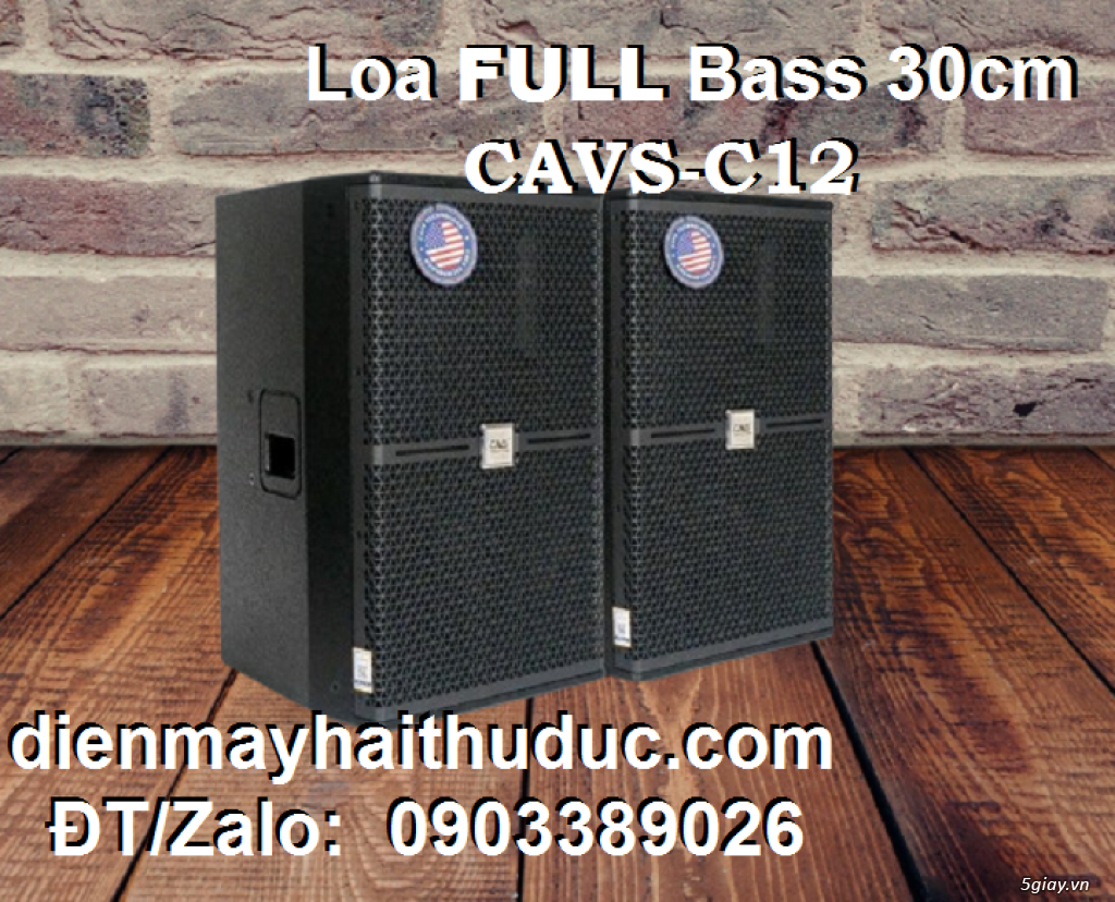 Loa Full Bass 30cm CAVS C12 chính hãng Nhật Hoàng Audio - 2