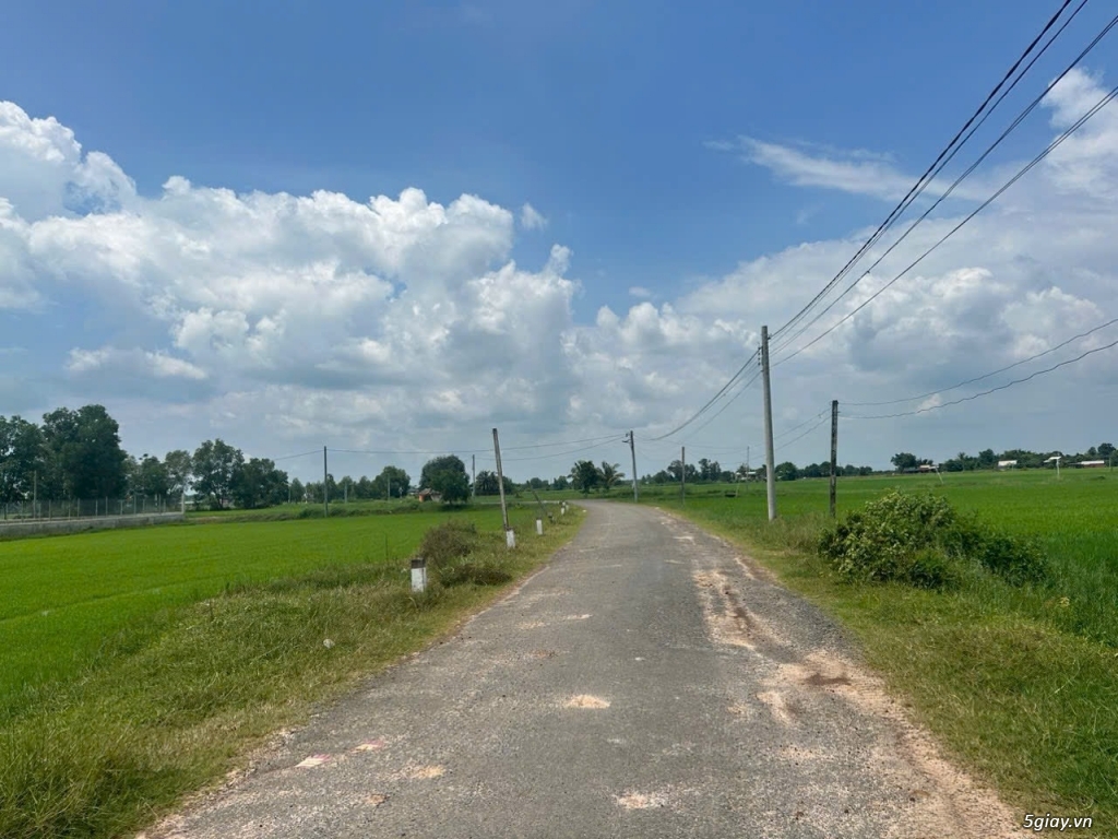 Bán lô đất đường 319A, Ấp Long Hưng, Long Thuận, H.Bến Cầu, Tây Ninh - 7