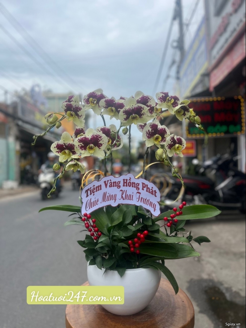 Đặt hoa lan hô điệp ở đâu đẹp nhất tại tphcm - Hoa Tươi 247 Sài Gòn - 10