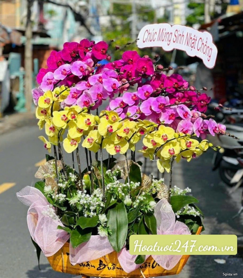 Đặt hoa lan hô điệp ở đâu đẹp nhất tại tphcm - Hoa Tươi 247 Sài Gòn - 11