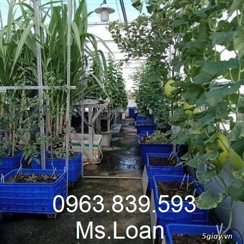Sóng bít 3t9 có nắp đựng nông sản, hải sản xuất khẩu/0963 839 593 Loan - 6