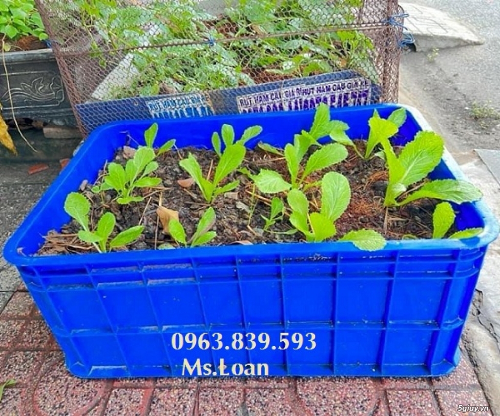Sóng bít 3t9 có nắp đựng nông sản, hải sản xuất khẩu/0963 839 593 Loan - 4