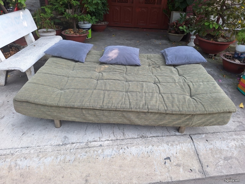 sofa. sofa bed