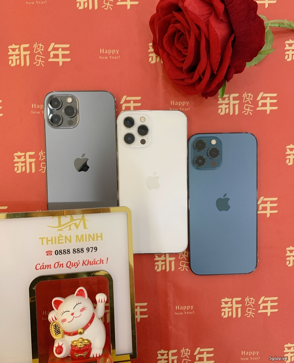 IPhone 12Promax 256GB