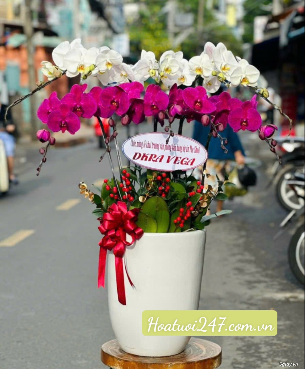 Shop hoa lan hồ điệp đẹp uy tín chất lượng số 1 Sài Gòn - 1