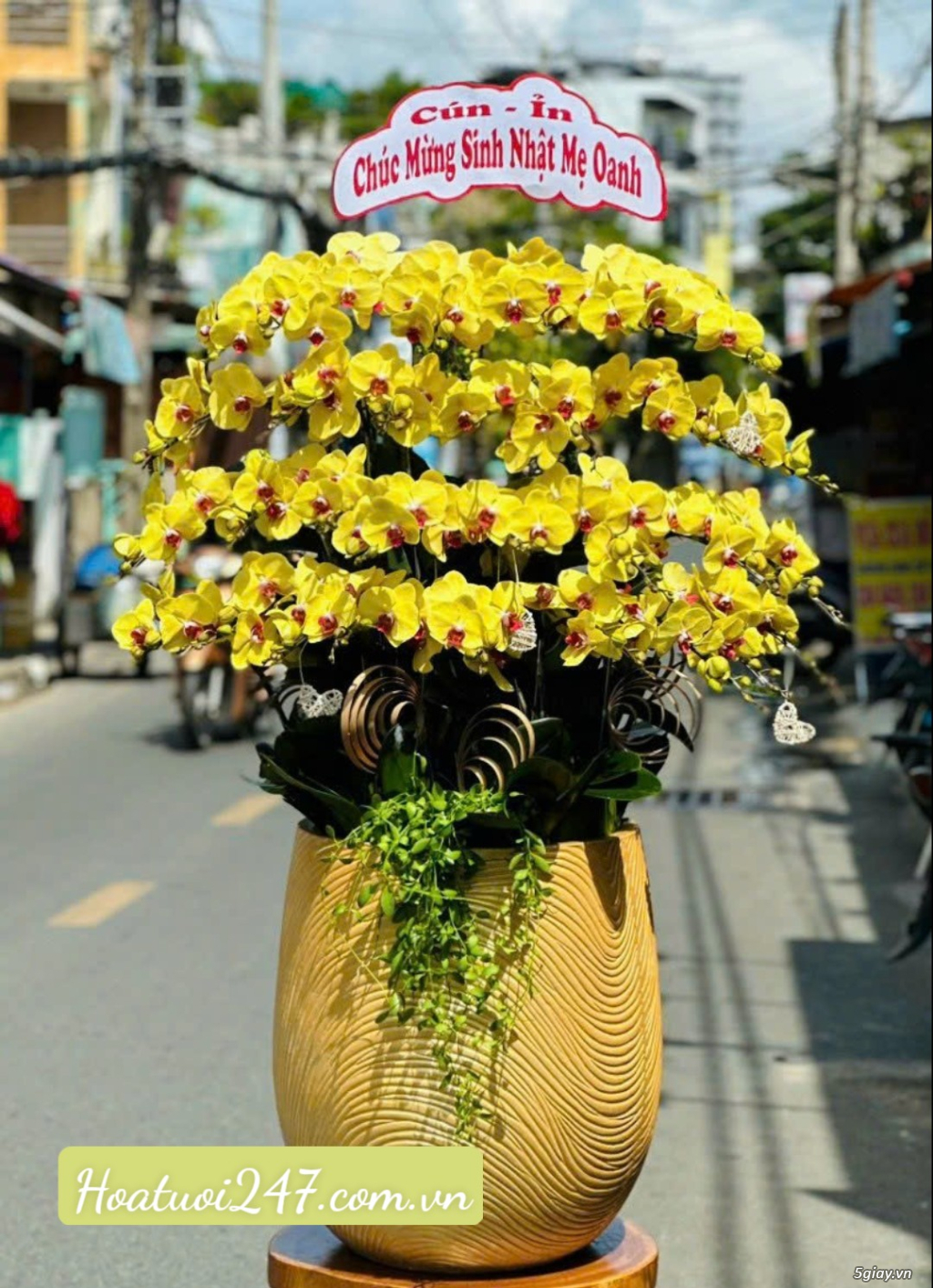 Shop hoa lan hồ điệp đẹp Sài Gòn nhiều mẫu nhiều màu hoa lựa chọn - 13