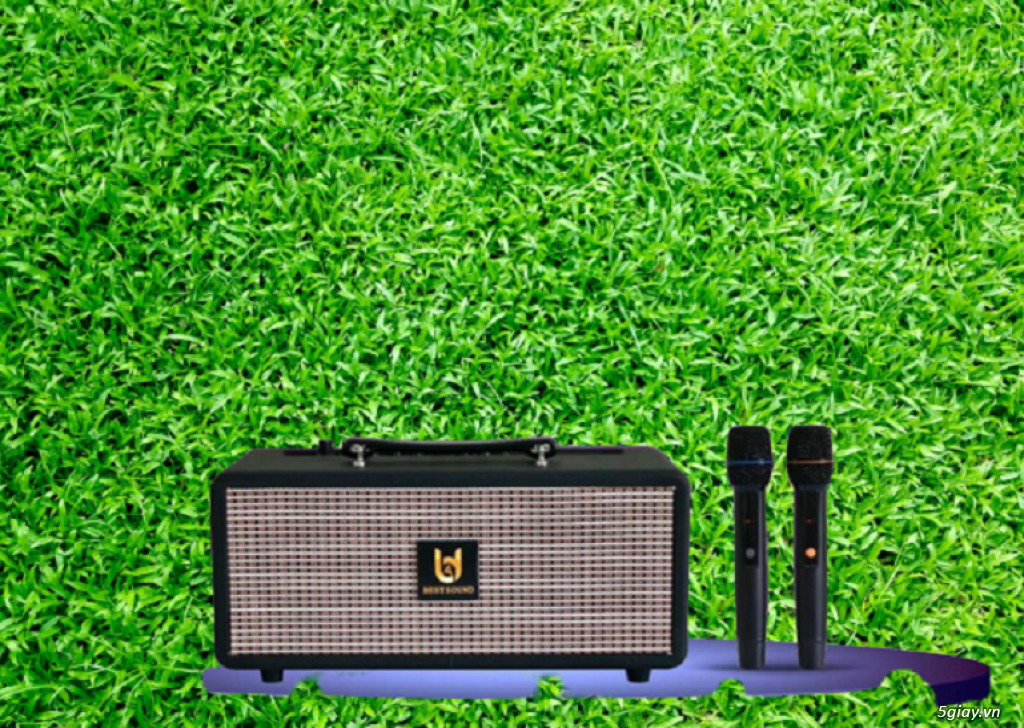 Loa xách tay nhỏ gọn Best Sound M5 kèm 2 micro UHF - 2