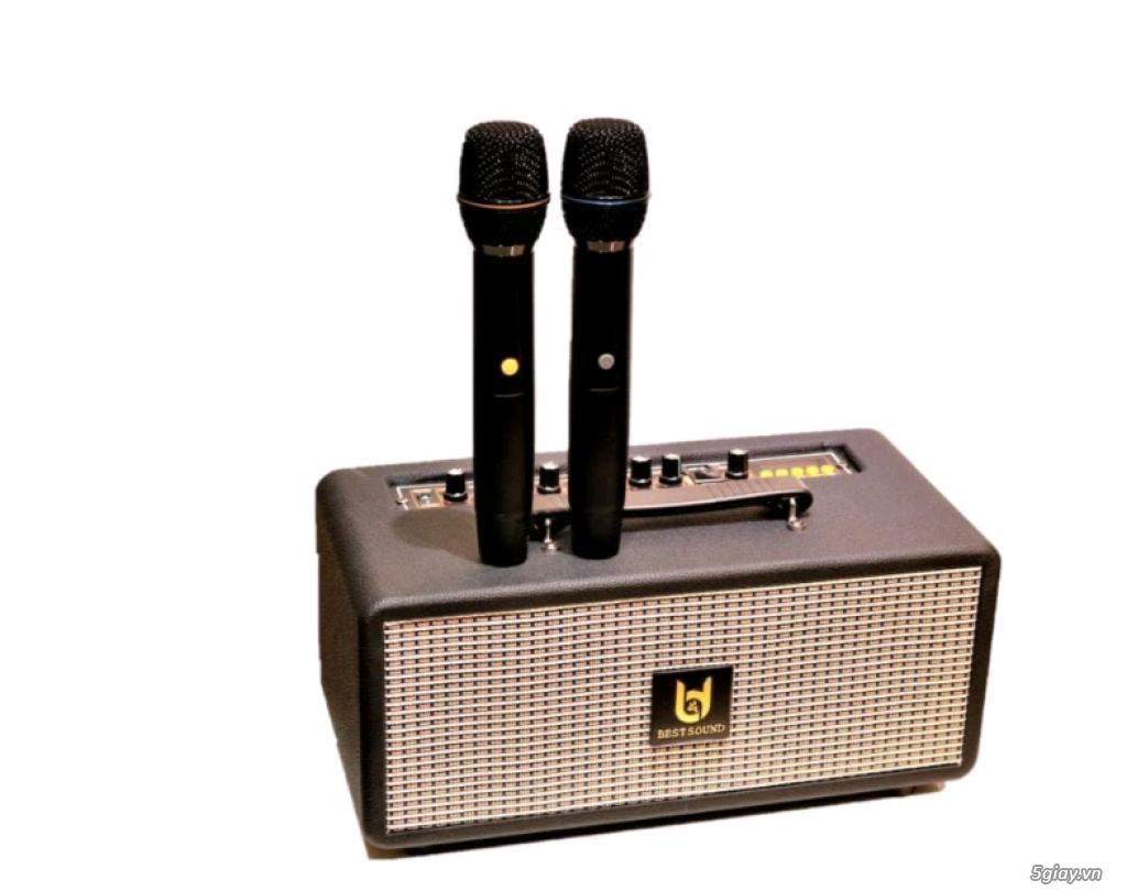 Loa xách tay nhỏ gọn Best Sound M5 kèm 2 micro UHF - 3