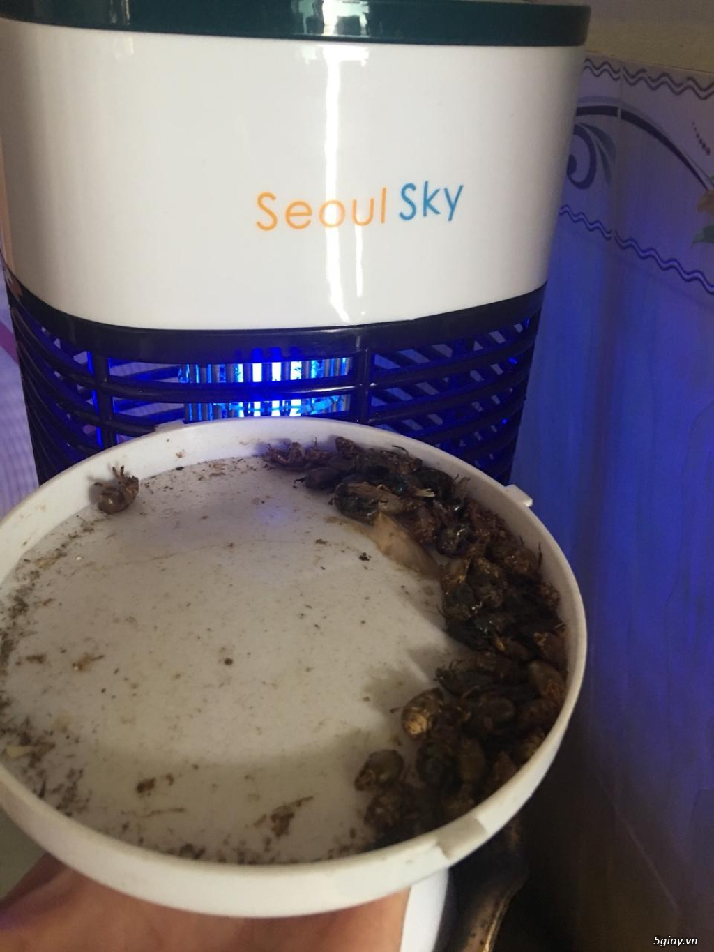 Đèn diệt côn trùng Seoul Sky SSK-10W - 2