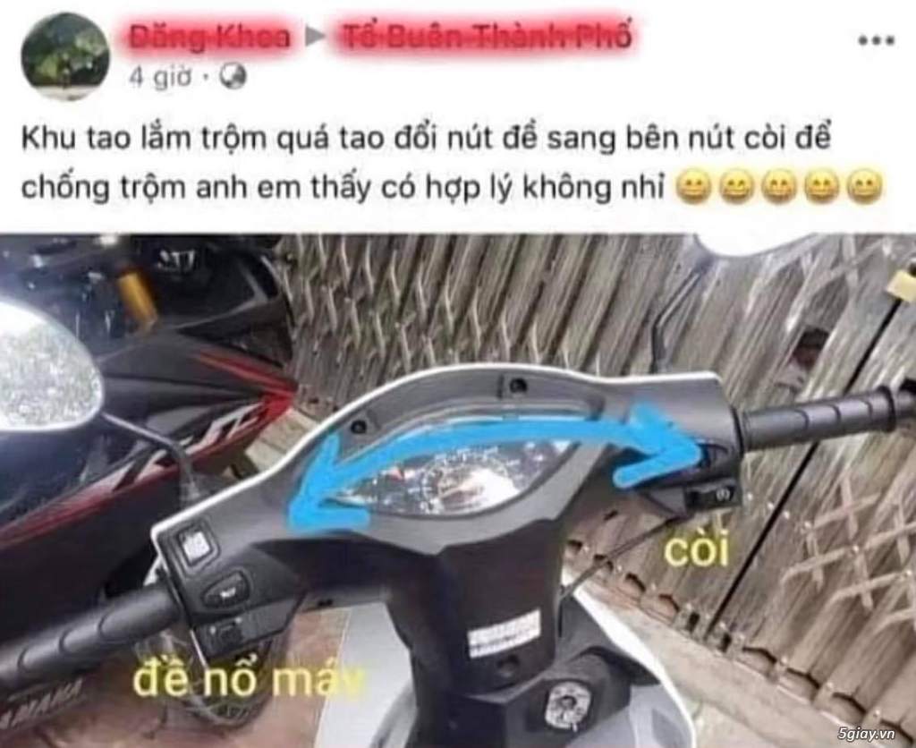 Hình hài hước... Nhiều thể loại vui nhôn