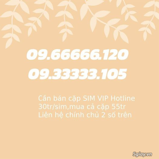 Bán cặp SIM VIP Hotline.  09-66666,120  09.33333.105