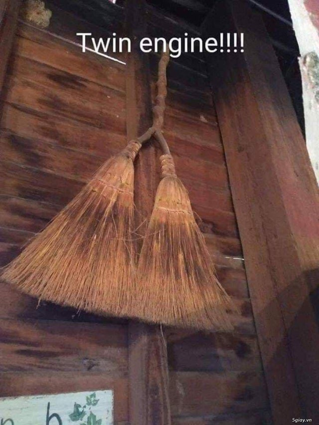 Hình hài hước... Nhiều thể loại vui nhôn - 1