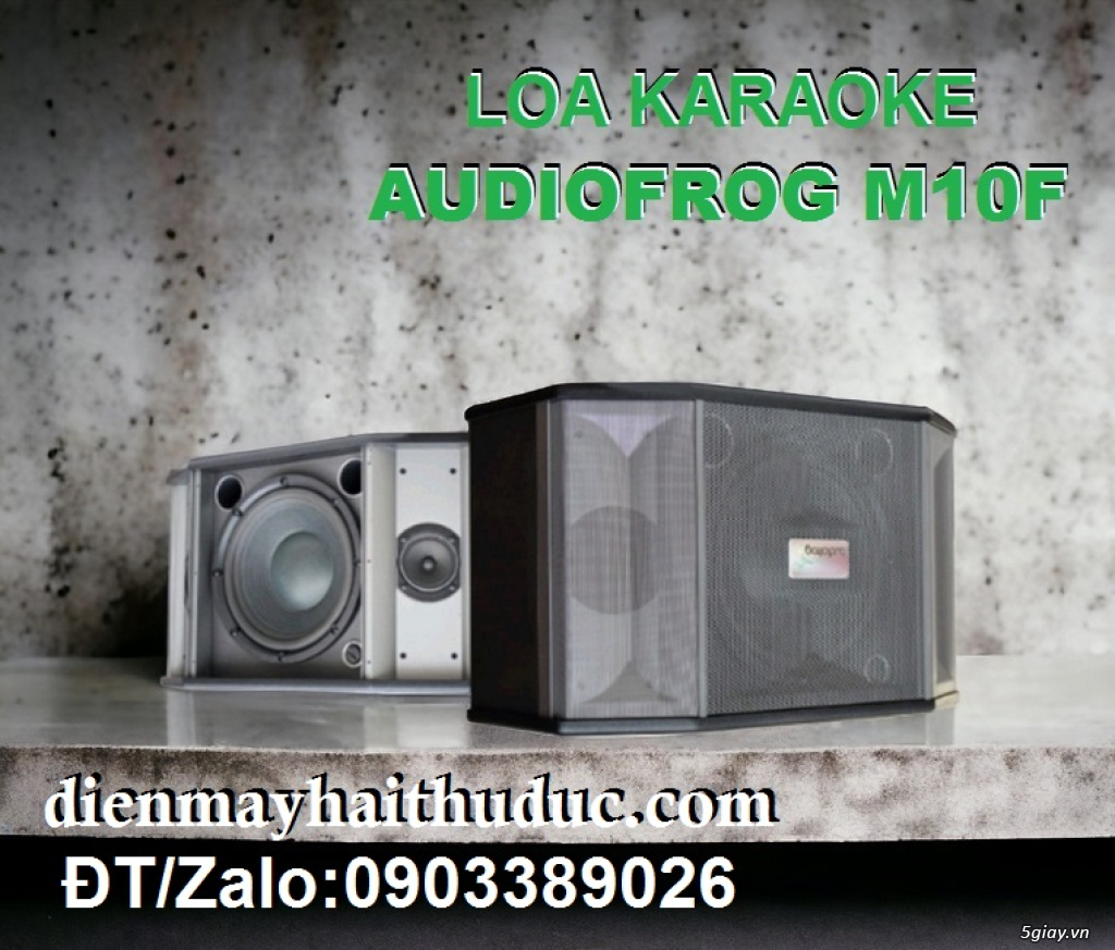 Loa chuyên Karaoke Gia đình Audio Frog M12F công suất đến 400W - 1