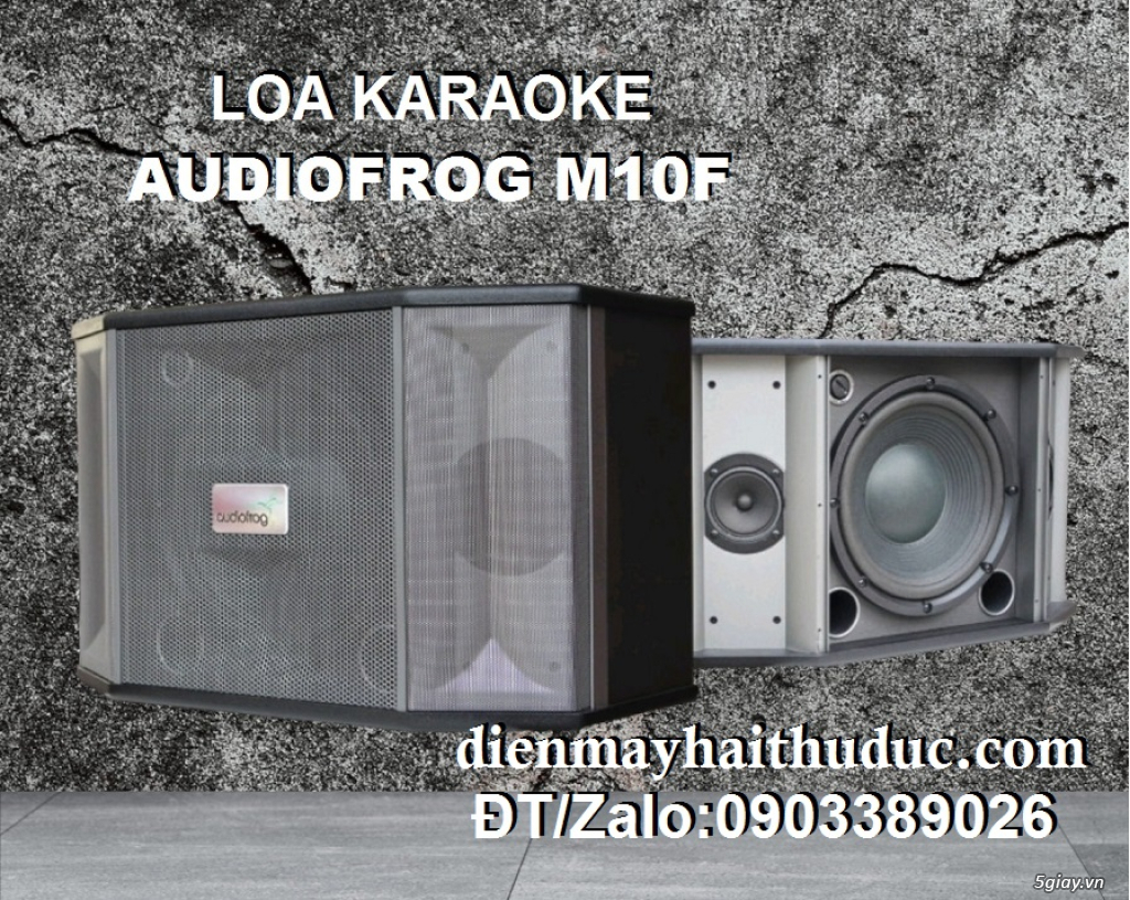 Loa chuyên Karaoke Gia đình Audio Frog M12F công suất đến 400W