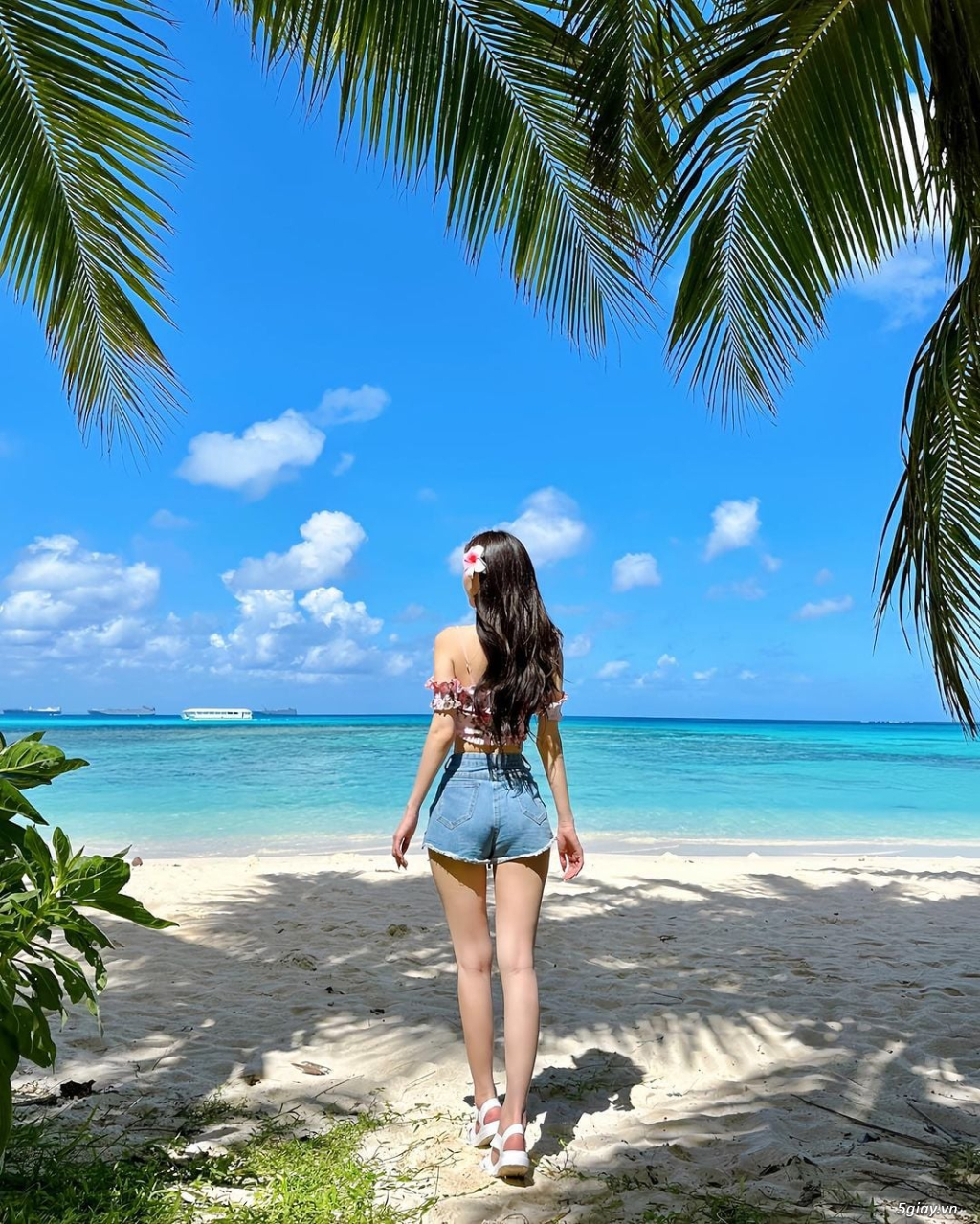 Hình hài hước... Nhiều thể loại vui nhôn - 1