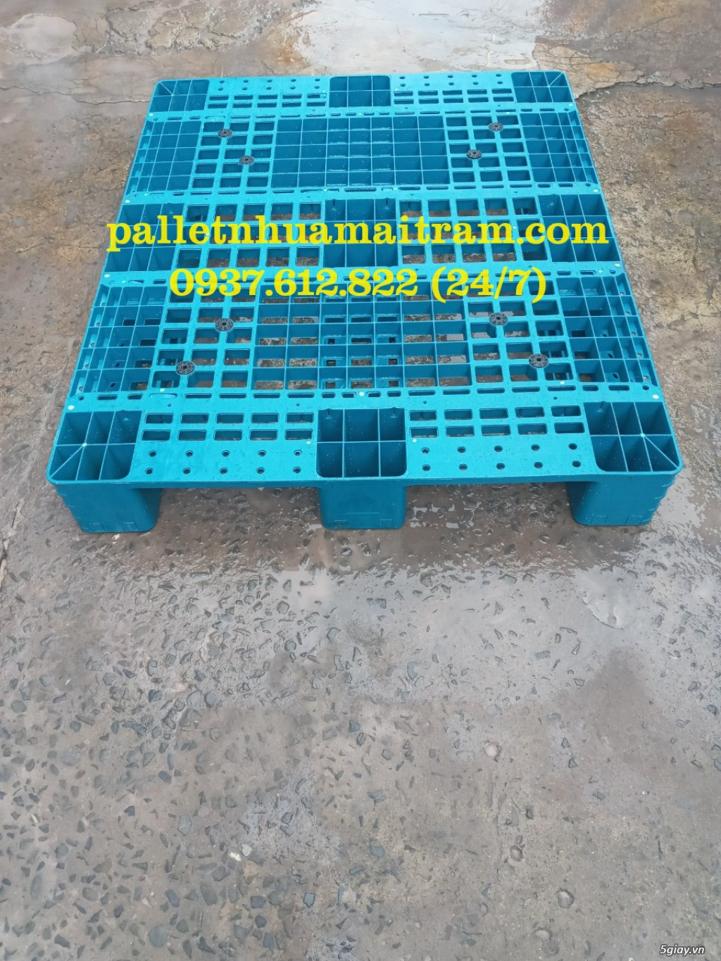 Pallet nhựa Đắk Lắk xuất khẩu giá cực rẻ - 4