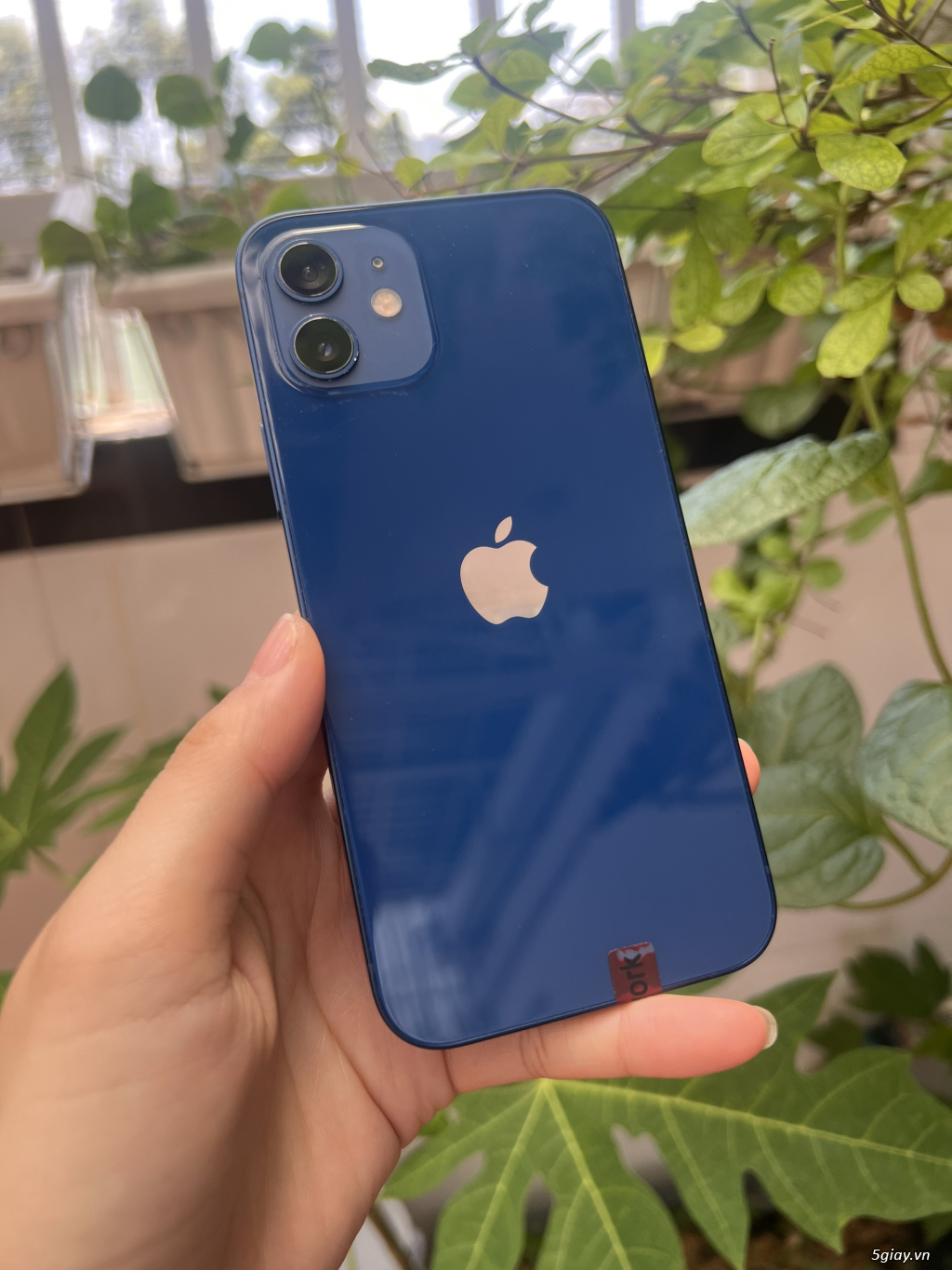 FamilyFone : Kho iPhone Mỹ Zin từ bình dân đến cao cấp giá rẻ - 8
