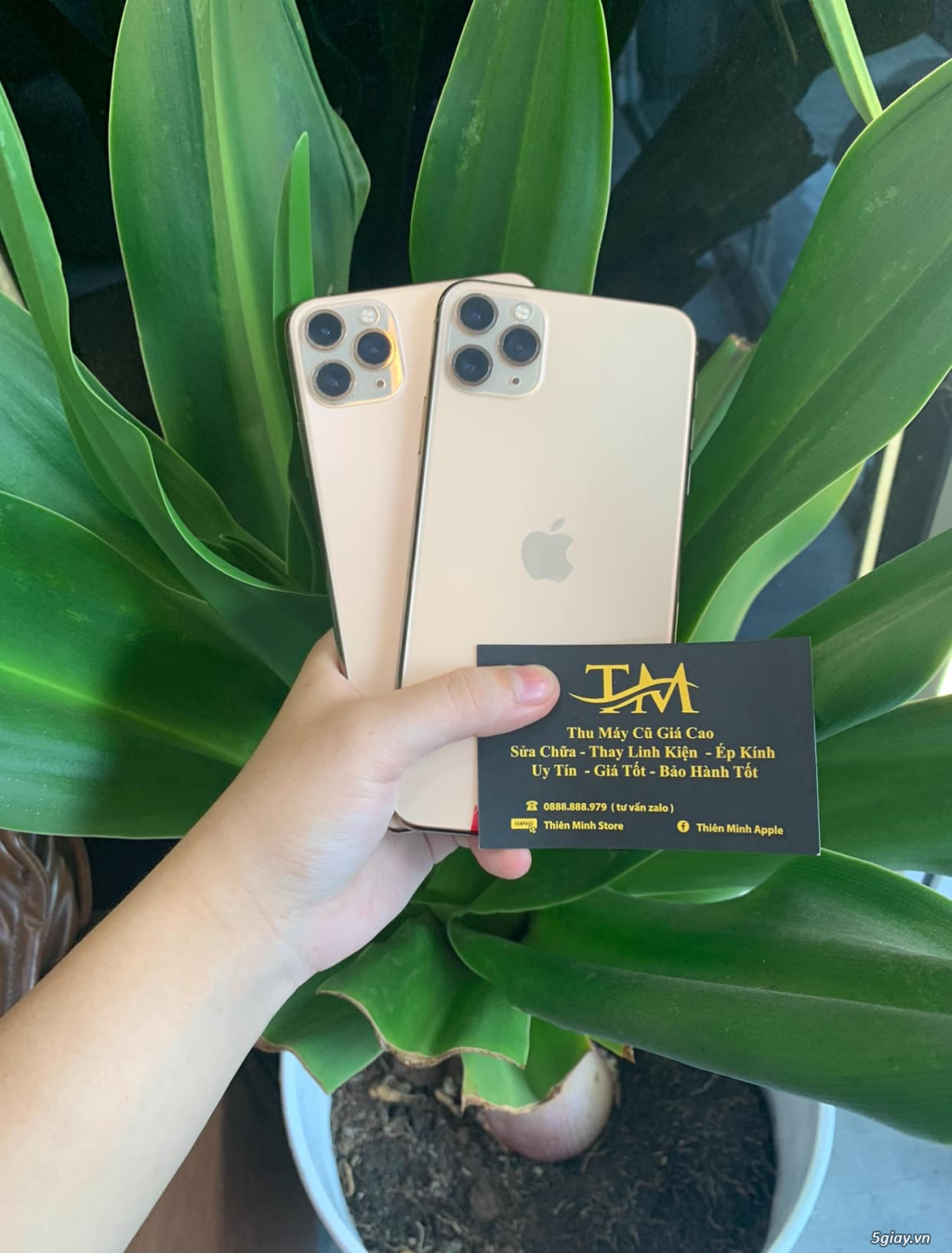 IPhone 11 Promax 256GB Vàng LL - 38