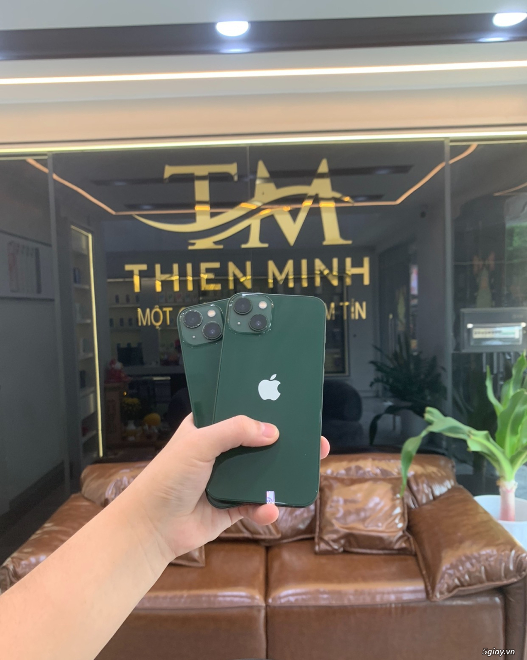 IPhone 13 256GB XANH