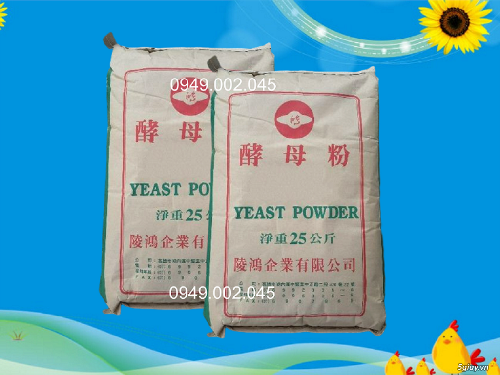 Yeast Powder - Đạm dinh dưỡng cho tôm cá