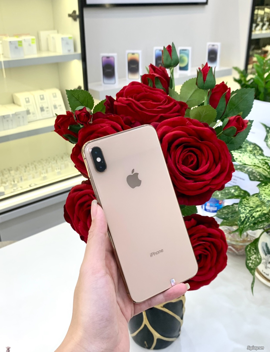 IPHONE XSM 256GB VÀNG