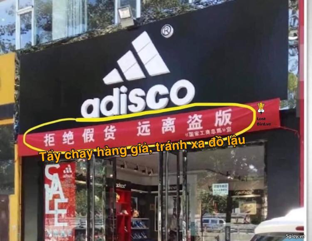 Hình hài hước... Nhiều thể loại vui nhôn