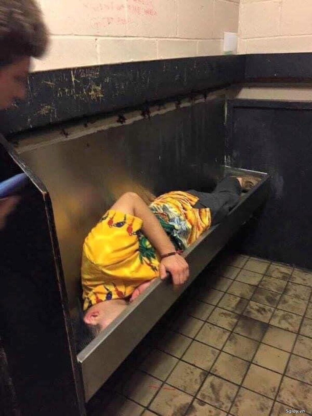 Hình hài hước... Nhiều thể loại vui nhôn - 5