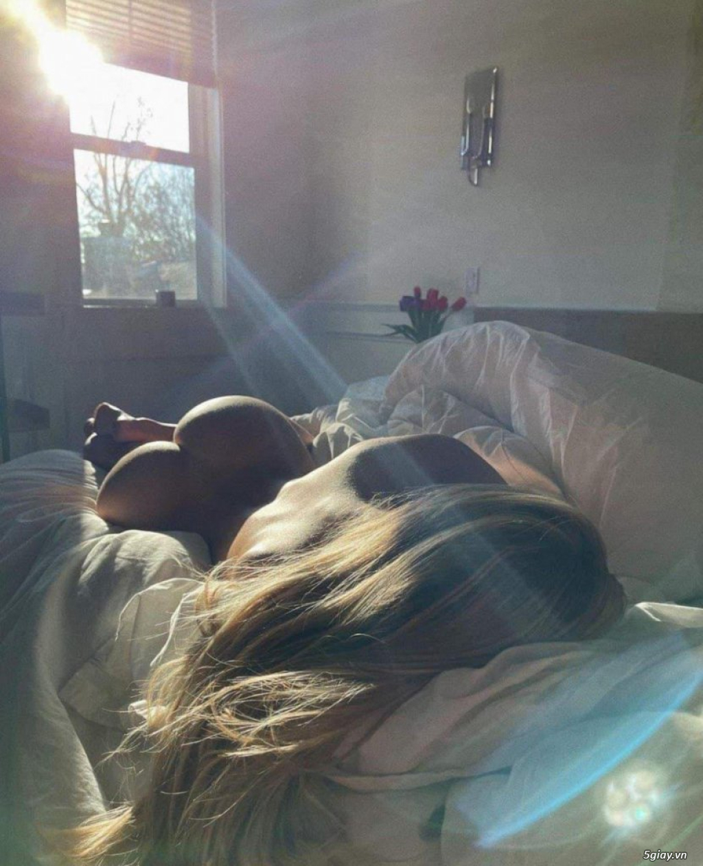 Hình hài hước... Nhiều thể loại vui nhôn - 1