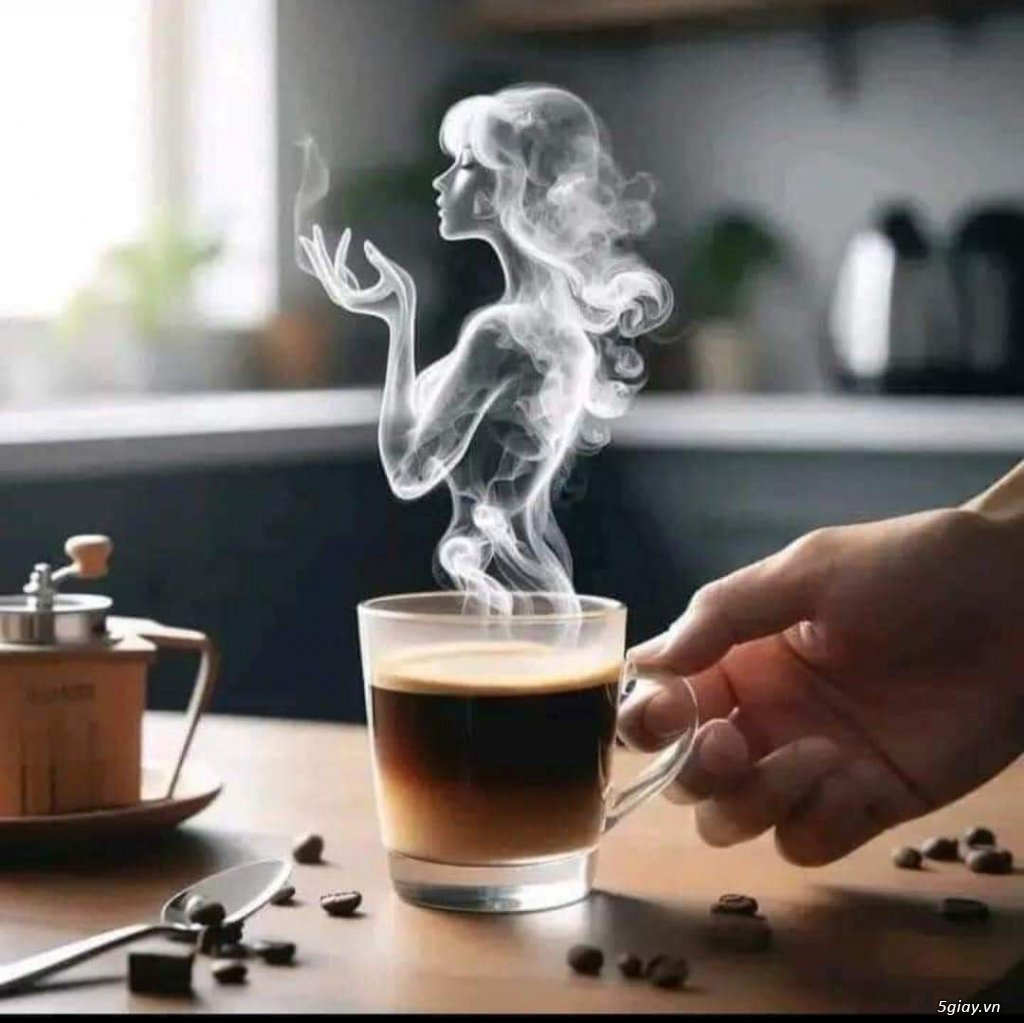 Hình hài hước... Nhiều thể loại vui nhôn