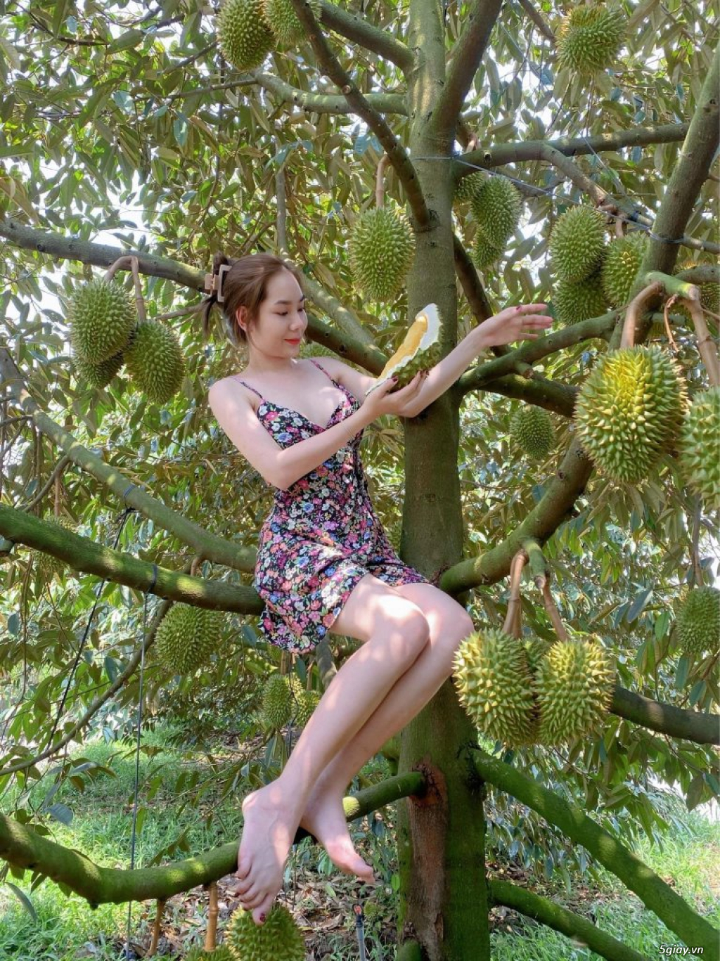 Hình hài hước... Nhiều thể loại vui nhôn