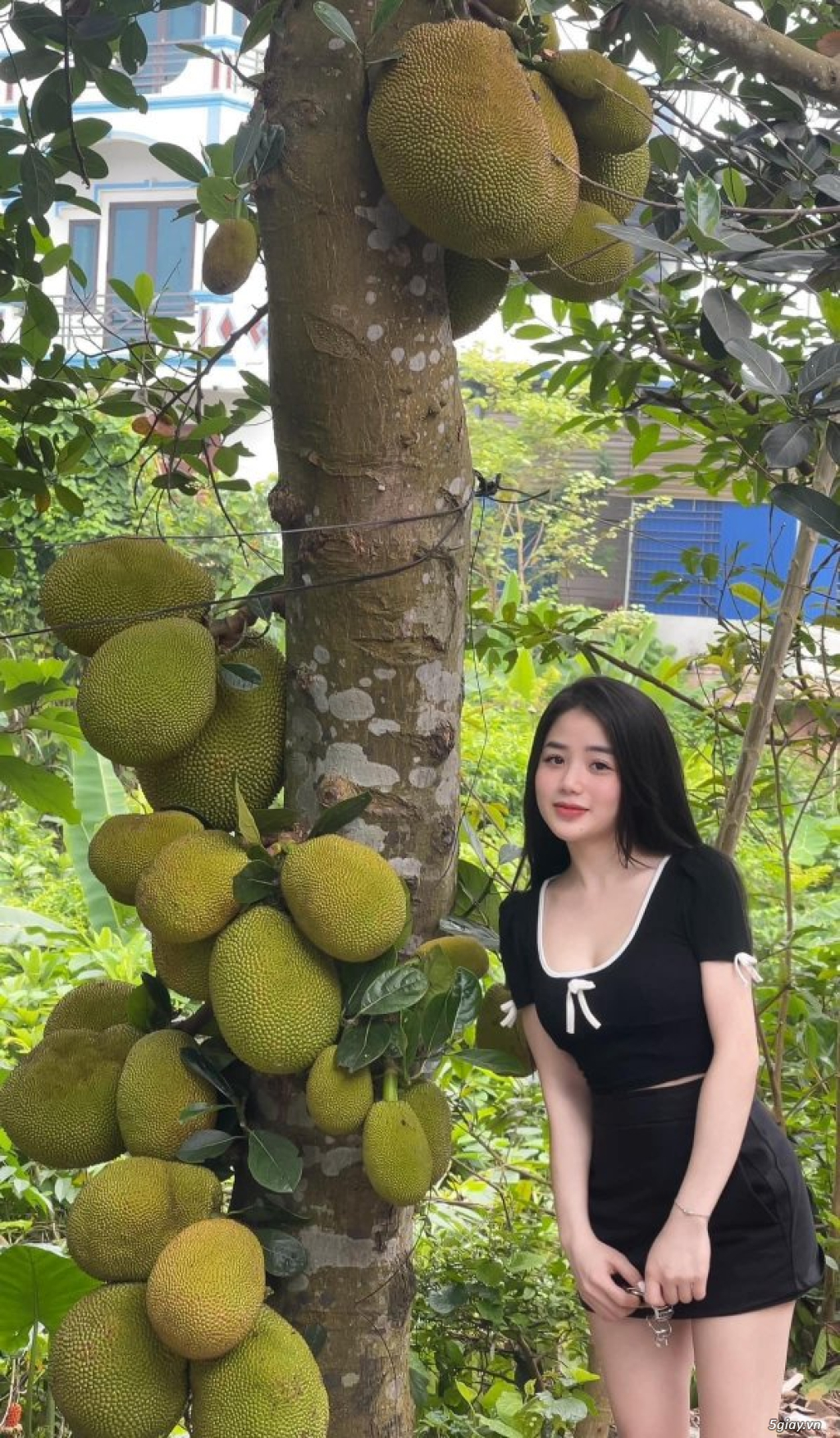 Hình hài hước... Nhiều thể loại vui nhôn - 1