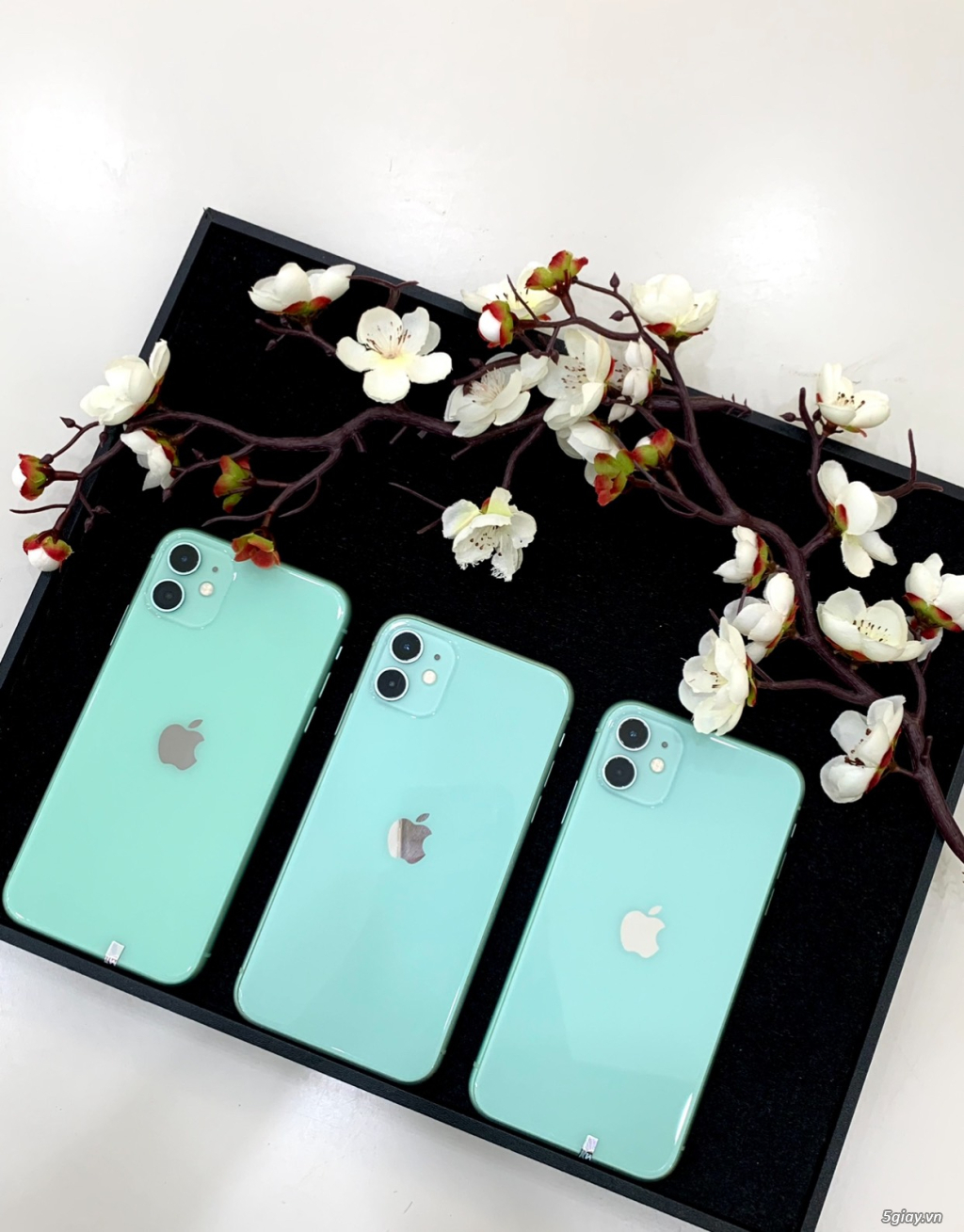 IPHONE 11 64GB XANH LL