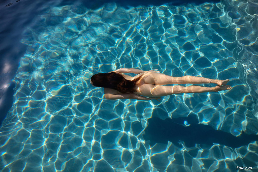 Hình hài hước... Nhiều thể loại vui nhôn