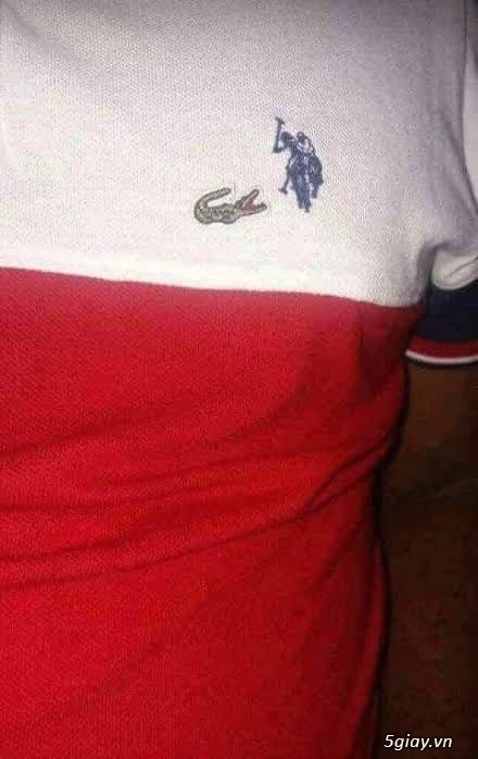 Hình hài hước... Nhiều thể loại vui nhôn - 1