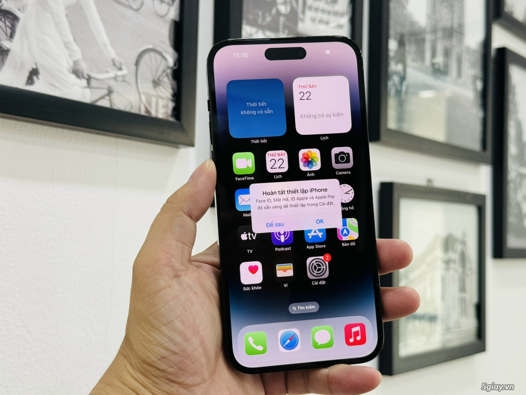 iPhone 14 Promax 256G QT