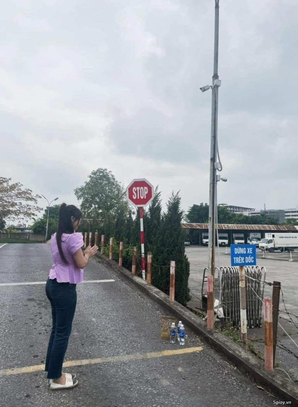 Hình hài hước... Nhiều thể loại vui nhôn