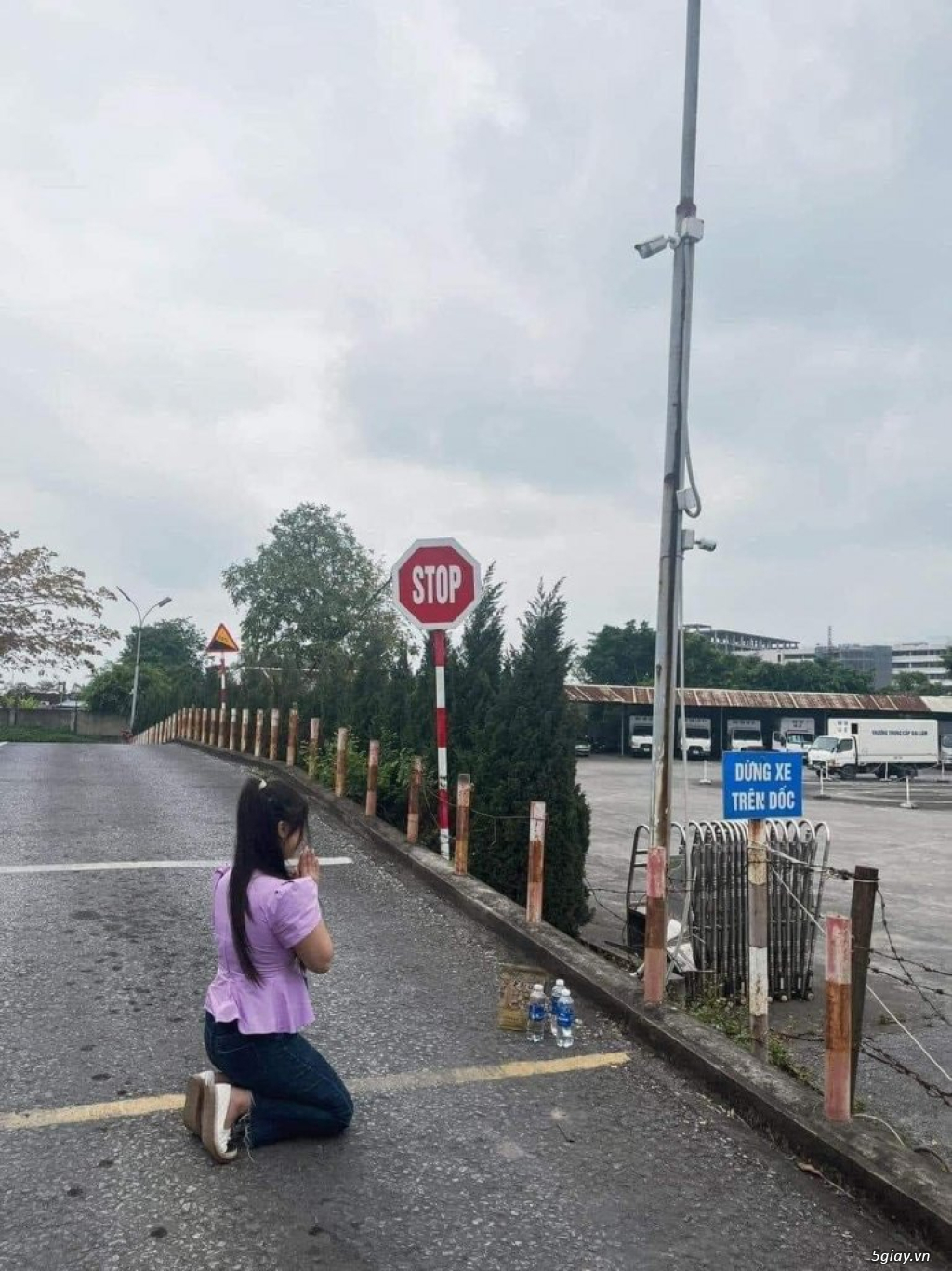 Hình hài hước... Nhiều thể loại vui nhôn - 1