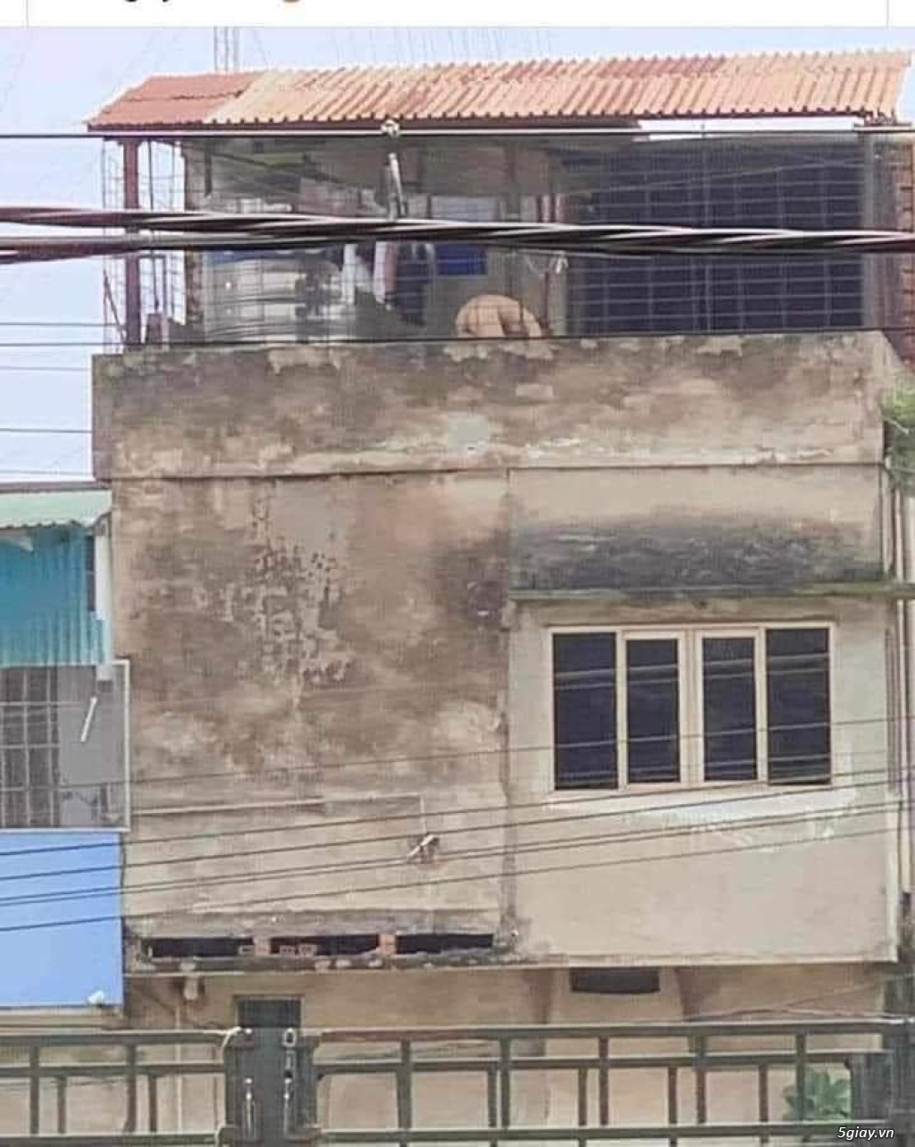 Hình hài hước... Nhiều thể loại vui nhôn - 4