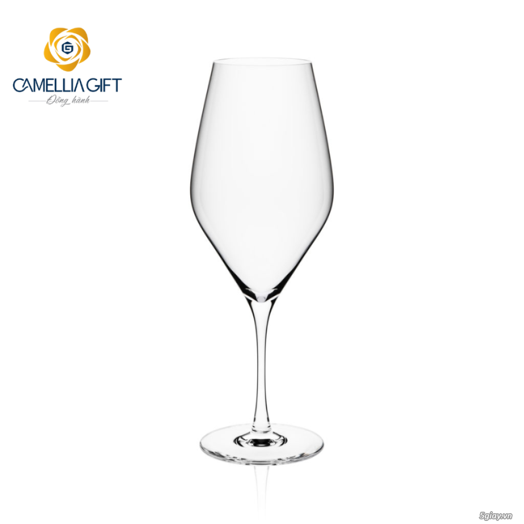 Bộ 4 Ly Champagne Piccolo RONA 350ml