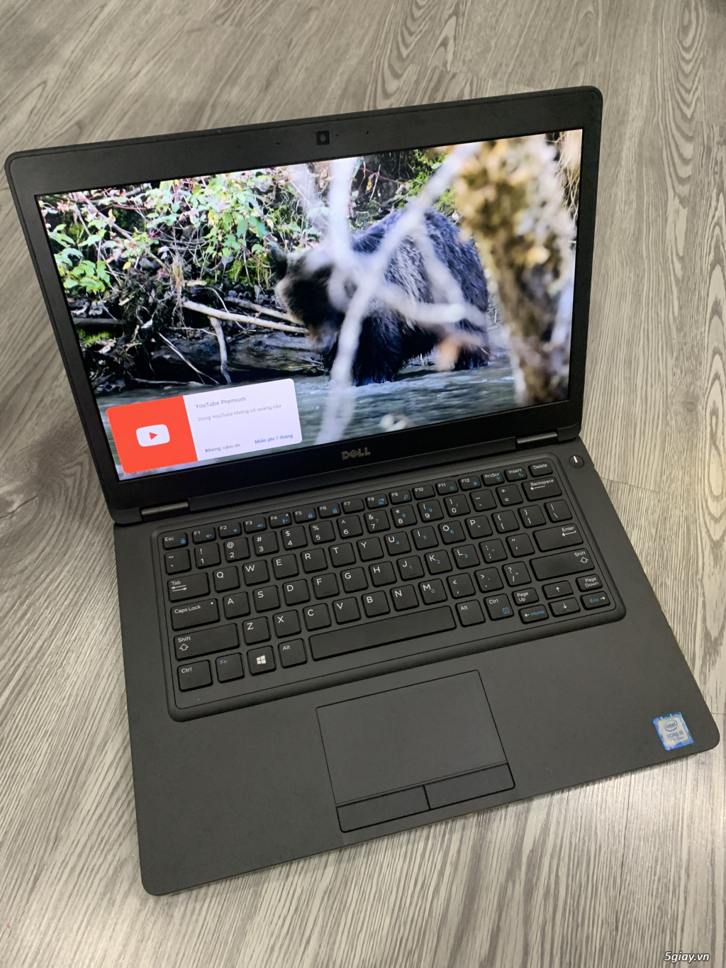 Laptop Dell Latitude 5490 i5-7300U ~2.7GHz/8GB/SSD 256GB