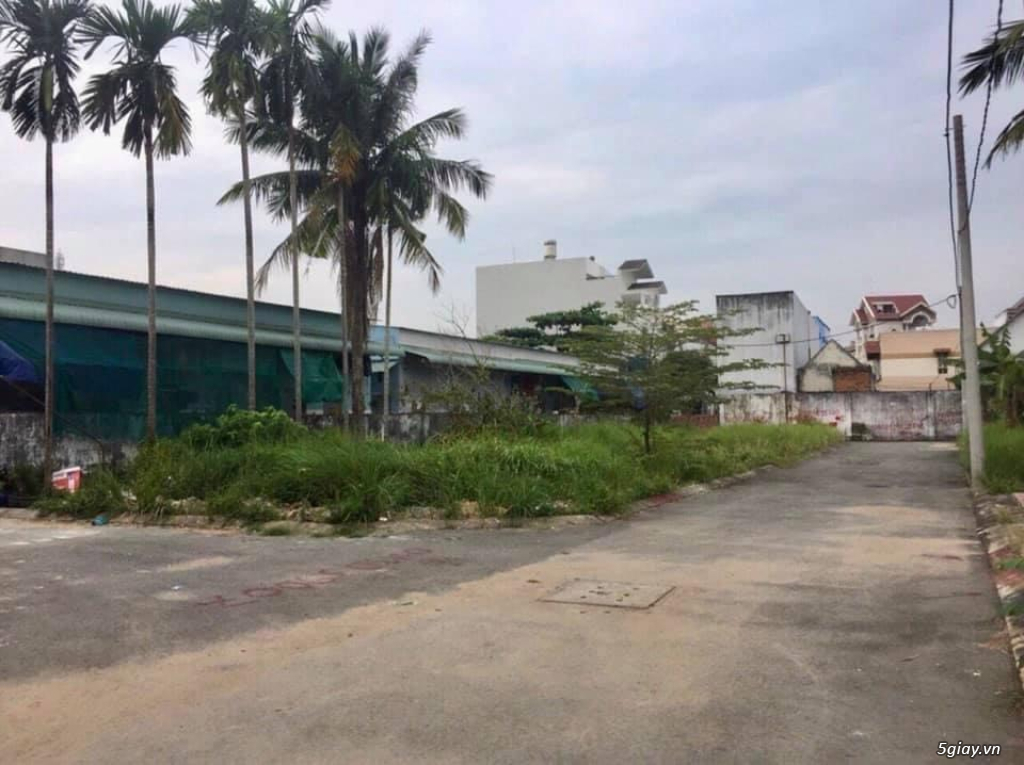Cần bán 83,1m2 full thổ góc 2mt gần view sông tại Long Trường Quận 9!! - 1