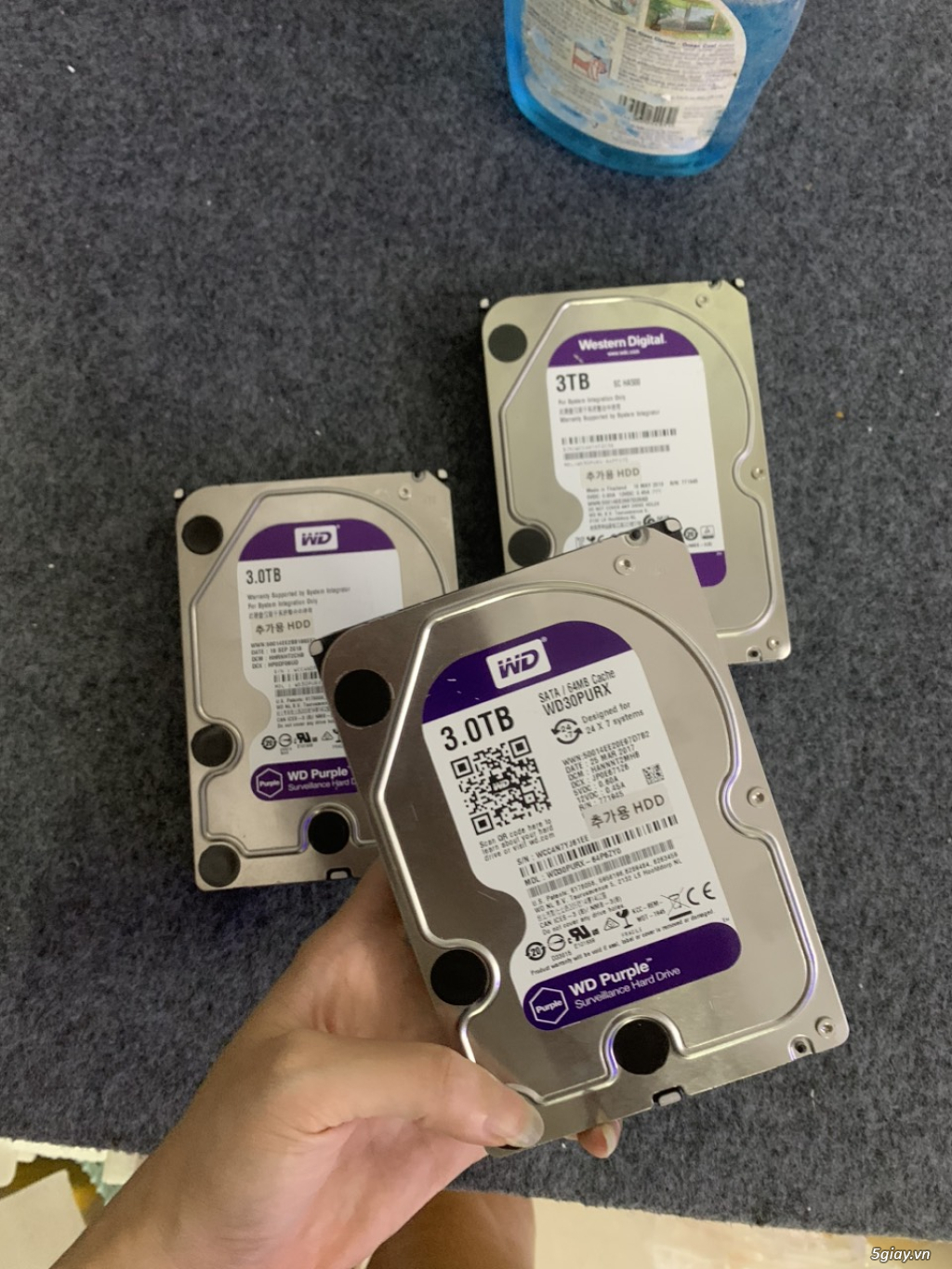 HDD 3TB WD TÍM SK 100% bảo hành 2 năm - 2