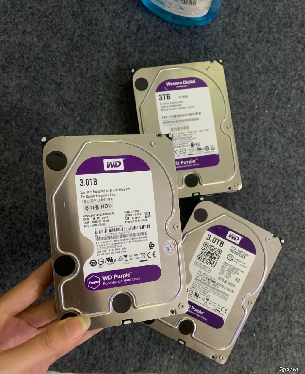 HDD 3TB WD TÍM SK 100% bảo hành 2 năm - 1