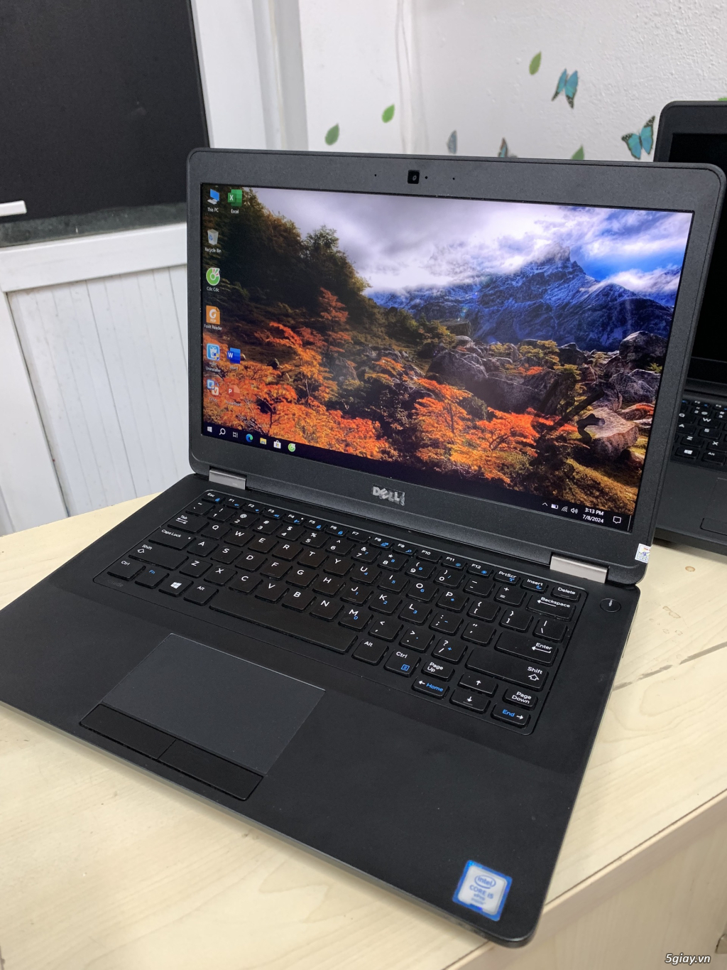 laptop dell giá rẻ i5 đẹp - 2